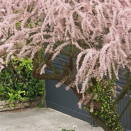 La Ferme De Maryse Сasa de vacaciones *